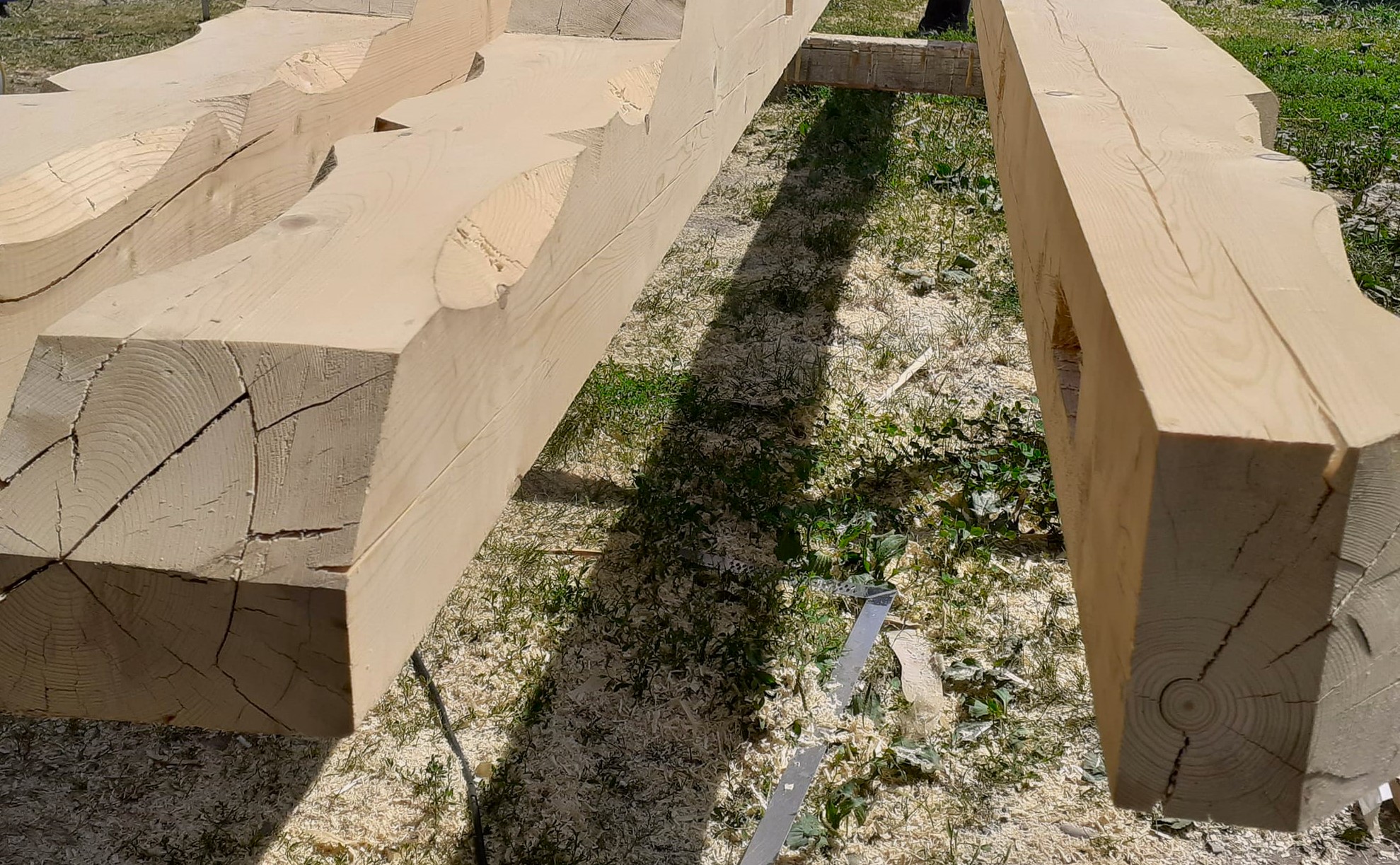Carpenter Workshop